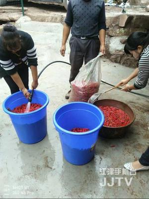 身手不凡的'四屏親戚' 科技助力初級(jí)農(nóng)產(chǎn)品收購(gòu)，精準(zhǔn)幫扶貧困戶增收