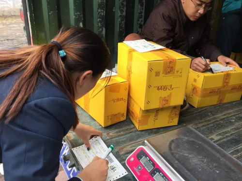 電商賦能太行百歲品牌，助力初級農(nóng)產(chǎn)品收購新篇章